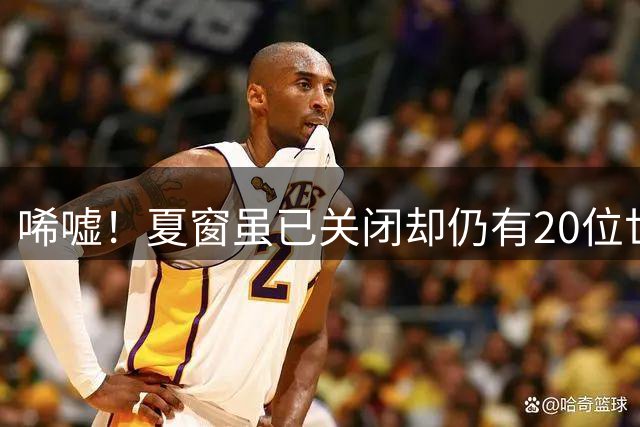 唏嘘！夏窗虽已关闭却仍有20位世界级球星无人问津，找不到新东家
